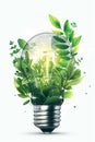 Green plant growing in the light bulb at the white background Royalty Free Stock Photo