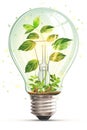 Green plant growing in the light bulb at the white background Royalty Free Stock Photo