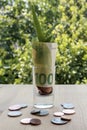 Plant growing from one hundred euro banknote and coins