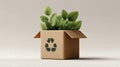 Green Plant Growing in Recyclable Cardboard Box Royalty Free Stock Photo