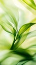 Green plant growing with soft light effect and blurred motion creating an abstract and artistic nature background with a fresh and Royalty Free Stock Photo