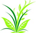 Green plant icons. Vector simple logo. Royalty Free Stock Photo