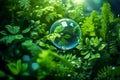 A green plant is inside a clear bubble. Royalty Free Stock Photo