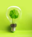 Green plant inside light bulb