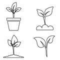 Green plant and leave color icons set vector. Green plant vector icon illustration. Royalty Free Stock Photo