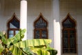 Green plant leaves in front of an Arabic Building Facade Royalty Free Stock Photo