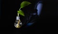 Zelený rastlina žijúci v svetlo žiarovka 