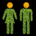 Green plant Male and Female symbol