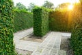 maze wall .Labyrinth maze garden Royalty Free Stock Photo