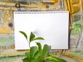 Notepad on a color wall with a plant and gears