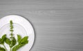 A green plant on a plate on a black and white table Royalty Free Stock Photo
