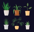Green plant in the pot set vector isolated. Gardening hobby
