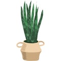 Green plant in pot vector flowerpot illustration