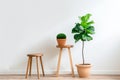 Green plant in a pot on a wooden stool against a white wall. Minimalist home office desk workspace Royalty Free Stock Photo