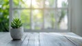 Green plant in pot on wooden table with a defocused window and windowsill in the background. Modern kitchen interior Royalty Free Stock Photo