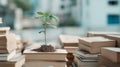 Green plant seedling growing on a pile of aged books, representing the concept of developing knowledge and sustainable education Royalty Free Stock Photo