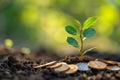 A green plant is seen sprouting from a stack of shiny coins, symbolizing growth and prosperity, Money tree growing from coins, AI Royalty Free Stock Photo