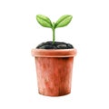 Green plant sprout in the ceramic pot. Watercolor illustration. New planted green stem in the ground in the garden Royalty Free Stock Photo