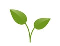 Green plant sprout with two stems illustration. Spring, planting and nature design element. Vector image Royalty Free Stock Photo