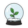 Green Plant Sprouting Inside a Snow Globe Royalty Free Stock Photo