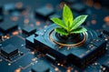 Green plant sprouting from microchip symbolizing eco-friendly technology growth. Royalty Free Stock Photo