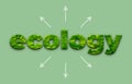 Green plant and text as a symbol of protection of nature. Ecology and world sustainable environment concept. Conceptual image.