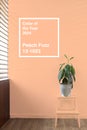 Green plant in a vase against peach fuzz color background