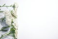 green plant on a white background white flowers