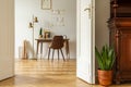 Green plant by white door into a freelancer`s home office interior with golden, industrial floor lamp by a wooden desk