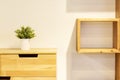 Green plant in white pot decorating modern wooden dresser and square wooden shelf