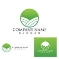 Green plantation logo and symbol vector template