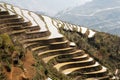Green planted mountain rice field seed bed landscape in China.