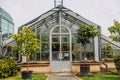 Green plants in botanical garden indoor. Sunshine in panoramic window. Fresh natural background. Greenhouse with Royalty Free Stock Photo