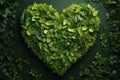 Green plants and different leaves collected in the shape of a heart on dark green background