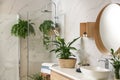 Green plants in elegant bathroom. Interior design Royalty Free Stock Photo