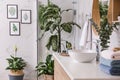 Green plants in modern bathroom. Interior design Royalty Free Stock Photo