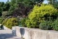 Green Plants and Flowers at Hudson River Park during the Summer in New York City Royalty Free Stock Photo