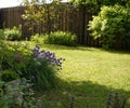 green plants garden wood fence tree sunlight flowers