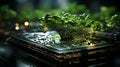 Green plants and grass on a computer with microchips and microchips transistors and resistors. Computer electronics and