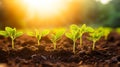 green plants in the ground sprouted seedlings generative ai
