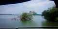 Green Plants growing above the water surface of Ashtamudi lake in Kerala. Kerala Backwaters Royalty Free Stock Photo