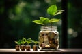 Green plants growing in coin jar and on coins on nature background. Wealth growth, savings, investment Royalty Free Stock Photo