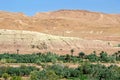 Green plants in morocco dades valley