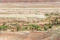 Green plants in morocco dades valley