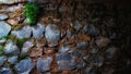 Green plants growing on the stone foundation Royalty Free Stock Photo