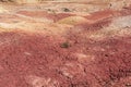 Green plants growing up on dried cracked land, soil. Desolate earth with little grass. Eco earth day or hope concept. Life on mars Royalty Free Stock Photo