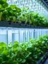 Green Plants Growing in Vertical Hydroponic Lab System Ai Generated Royalty Free Stock Photo