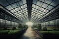 Green plants in a large glass greenhouse, industrial vegetable growing. Generative AI