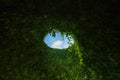 Green Plants Living Roof With Hole. Royalty Free Stock Photo