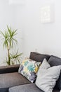 Green plants in the living room, with sofa and colorful pillows Royalty Free Stock Photo